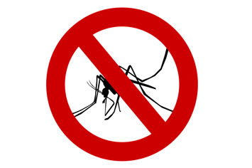 Jak poradzić sobie z plagą komarów? 
